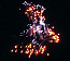 MC142 6