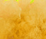MA0512 Yellow
